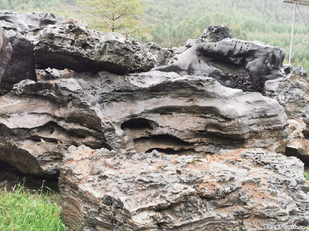 风景石、假山石大量有货，有需要的欢迎联系 - 新手上路 - 绵阳生活社区 - 绵阳28生活网 mianyang.28life.net