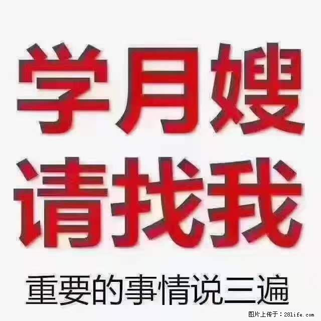 为什么要学习月嫂，育婴师？ - 新手上路 - 绵阳生活社区 - 绵阳28生活网 mianyang.28life.net