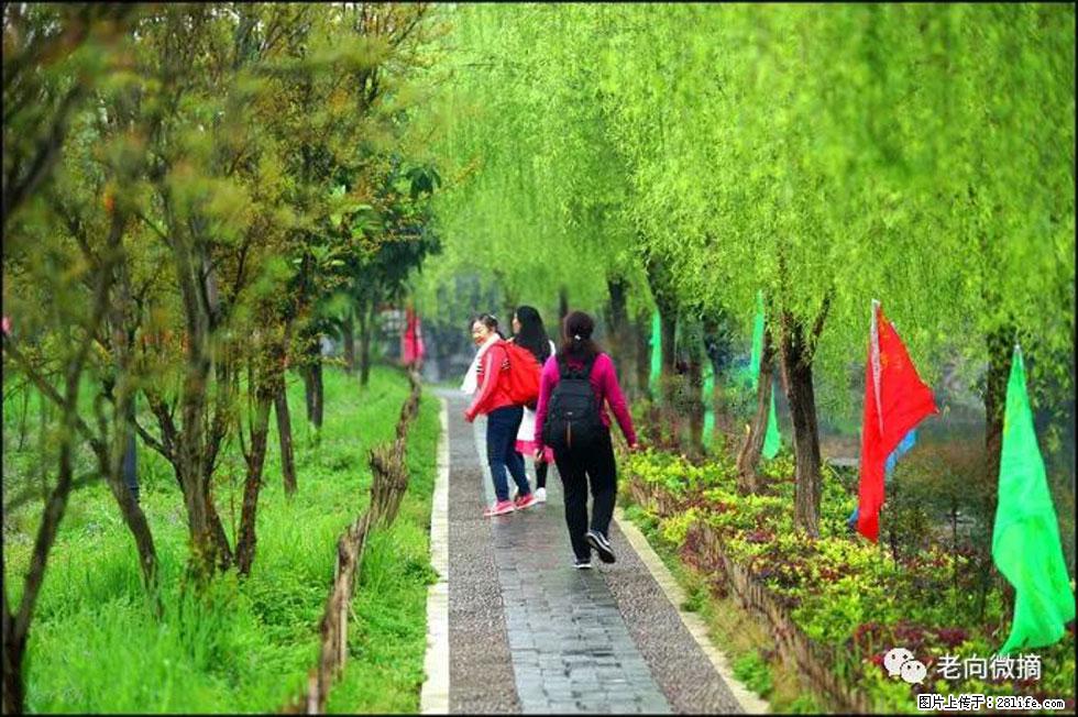【春天，广西桂林灌阳县向您发出邀请！】江口老街又逢春 - 游山玩水 - 绵阳生活社区 - 绵阳28生活网 mianyang.28life.net