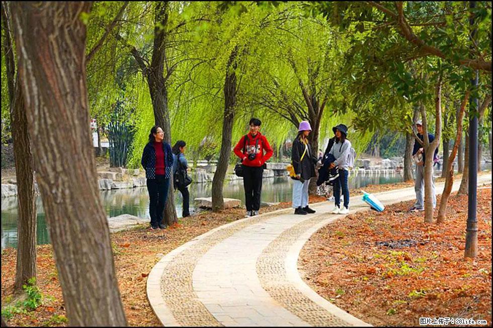 【春天，广西桂林灌阳县向您发出邀请！】江口老街又逢春 - 游山玩水 - 绵阳生活社区 - 绵阳28生活网 mianyang.28life.net