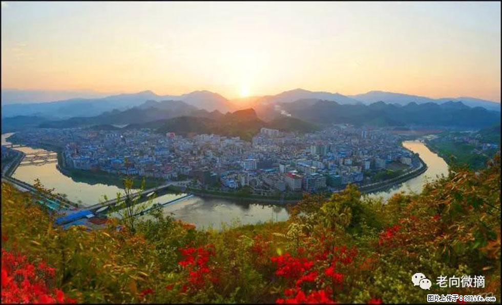 【春天，广西桂林灌阳县向您发出邀请！】登麒麟山，相约映山红 - 游山玩水 - 绵阳生活社区 - 绵阳28生活网 mianyang.28life.net