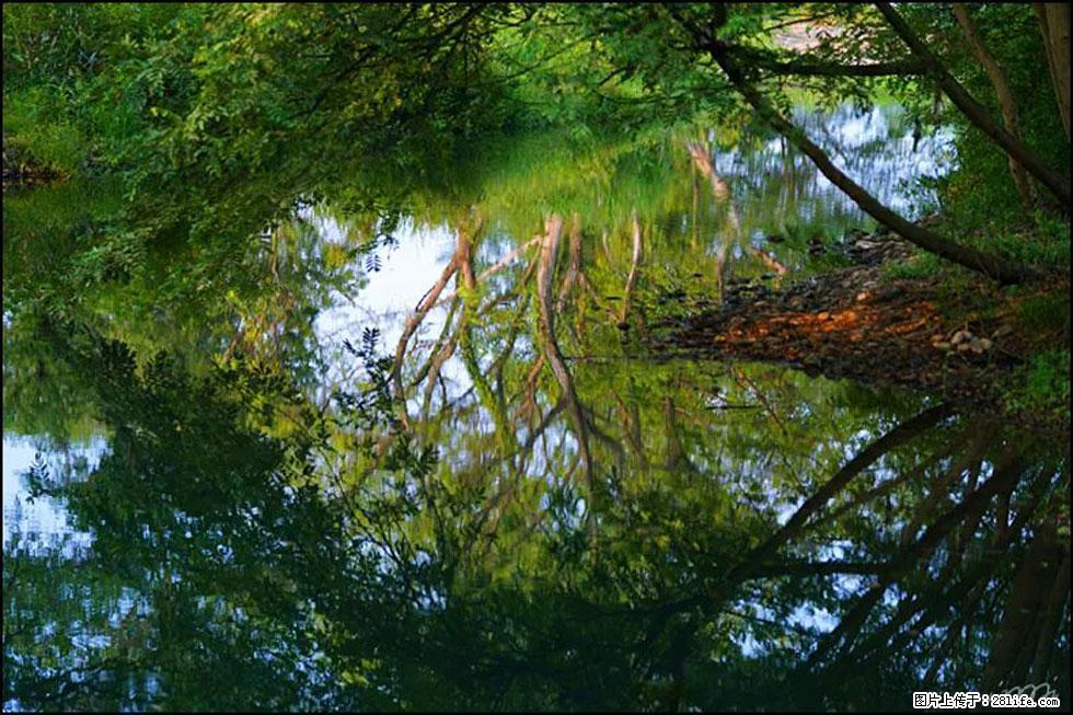 【春天，广西桂林灌阳县向您发出邀请！】熊家寨湿地公园 - 游山玩水 - 绵阳生活社区 - 绵阳28生活网 mianyang.28life.net