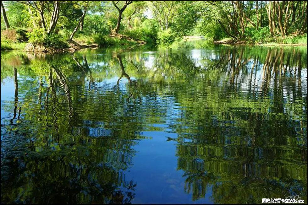 【春天，广西桂林灌阳县向您发出邀请！】熊家寨湿地公园 - 游山玩水 - 绵阳生活社区 - 绵阳28生活网 mianyang.28life.net