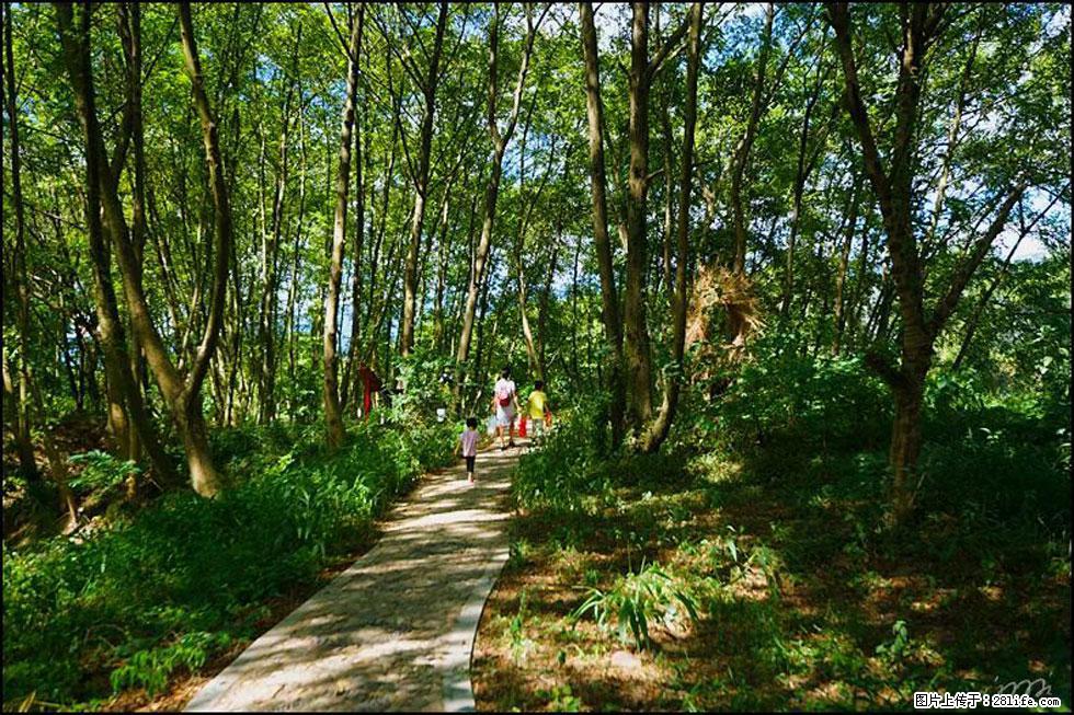 【春天，广西桂林灌阳县向您发出邀请！】熊家寨湿地公园 - 游山玩水 - 绵阳生活社区 - 绵阳28生活网 mianyang.28life.net