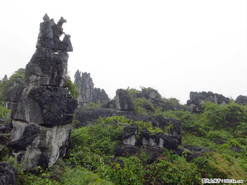 桂林旅游名城景点：灌阳文市石林 - 游山玩水 - 绵阳生活社区 - 绵阳28生活网 mianyang.28life.net