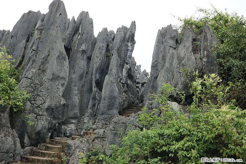 桂林旅游名城景点：灌阳文市石林 - 游山玩水 - 绵阳生活社区 - 绵阳28生活网 mianyang.28life.net