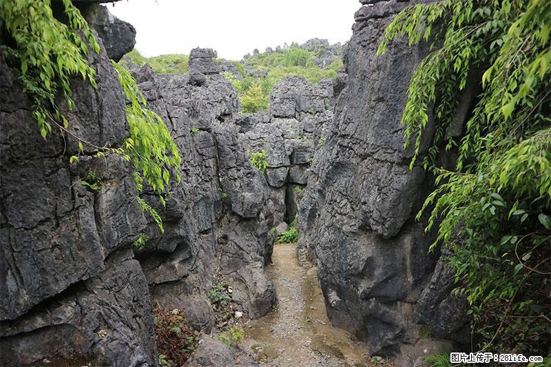 桂林旅游名城景点：灌阳文市石林 - 游山玩水 - 绵阳生活社区 - 绵阳28生活网 mianyang.28life.net