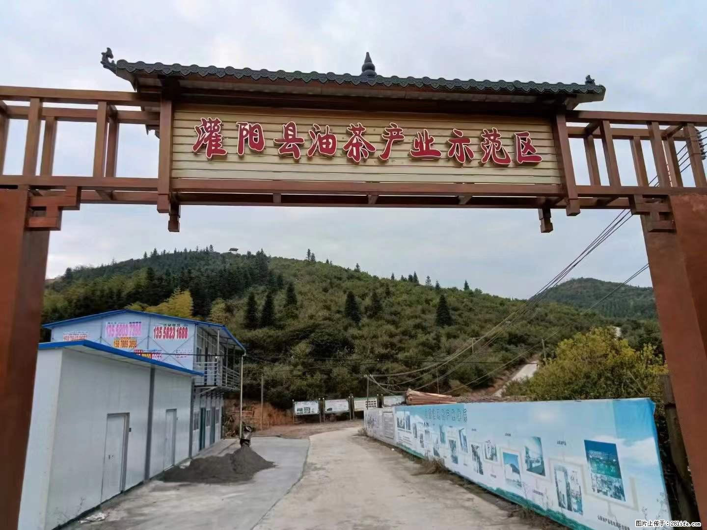【灌阳县油茶产业示范区】一个有着充实的精神生活的人，对待身外之物自会有一种淡泊的态度 - 土特产 - 饮食特产 - 绵阳分类信息 - 绵阳28生活网 mianyang.28life.net