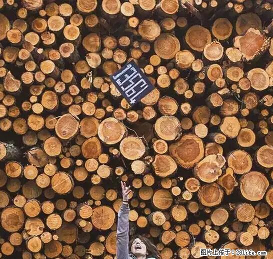 辞掉工作周游世界？现在他们在洗厕所…… - 游山玩水 - 绵阳生活社区 - 绵阳28生活网 mianyang.28life.net
