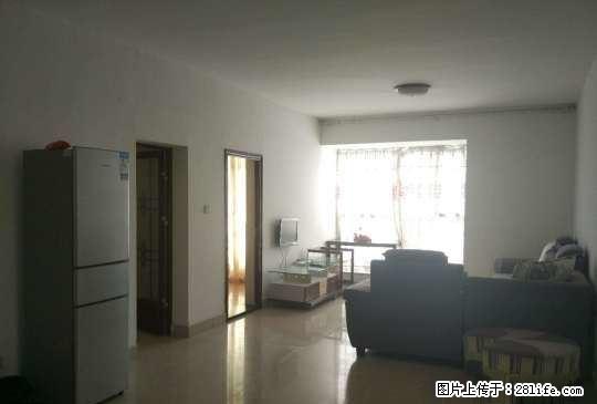 九洲国际 1300元 2室2厅1卫 普通装修，没有压力的居住 - 房屋出租 - 房屋租售 - 绵阳分类信息 - 绵阳28生活网 mianyang.28life.net