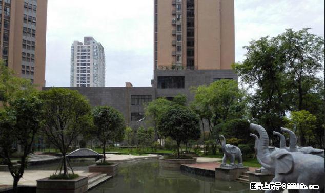 离外国语学校很近的 铂金时代一室一厅，拎包入住。 - 房屋出租 - 房屋租售 - 绵阳分类信息 - 绵阳28生活网 mianyang.28life.net