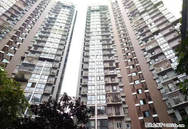安江名苑 170平米 全装 可住家 或办公 - 房屋出租 - 房屋租售 - 绵阳分类信息 - 绵阳28生活网 mianyang.28life.net
