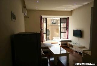 绵阳铁牛广场海赋外滩精装房 1室1厅1卫 - 绵阳28生活网 mianyang.28life.net