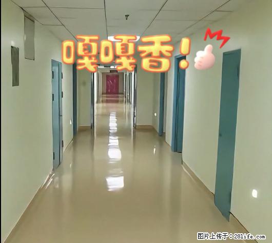 【焕新秘籍】拯救老旧PVC地板，告别划痕与色差困扰！ - 综合信息 - 其他综合 - 绵阳分类信息 - 绵阳28生活网 mianyang.28life.net
