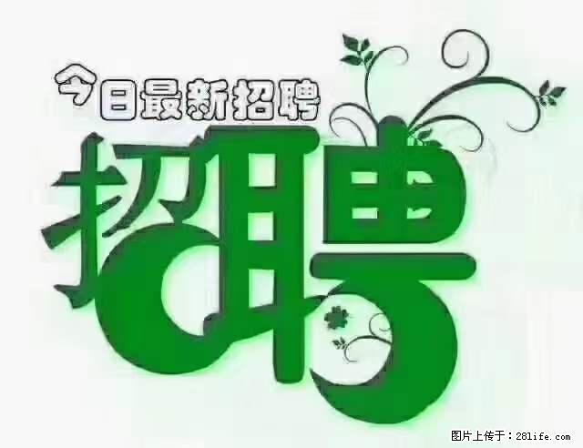 【招聘摄像师】待遇：试用期6000元/月，转正7000元/月+五险一金+餐补+节日福利+奖金 - 职场交流 - 绵阳生活社区 - 绵阳28生活网 mianyang.28life.net