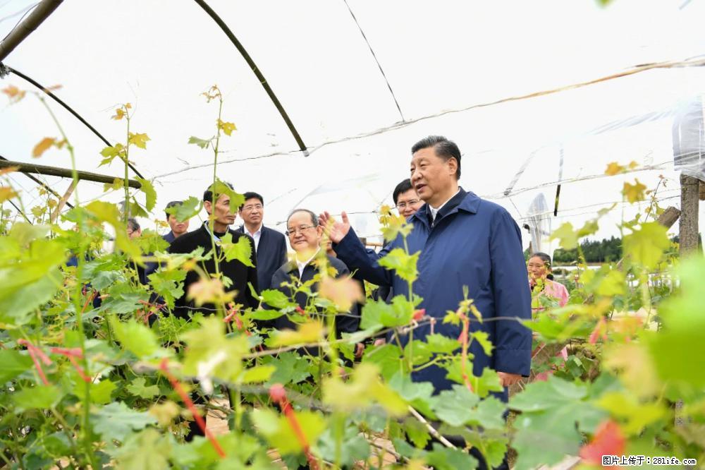 习近平赴广西考察调研 - 绵阳生活资讯 - 绵阳28生活网 mianyang.28life.net