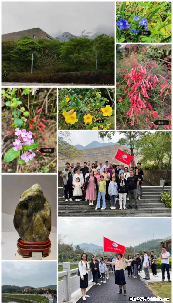 “粤灌文化 美好生活”油茶文化主题活动在广东深圳成功举办 - 绵阳生活资讯 - 绵阳28生活网 mianyang.28life.net
