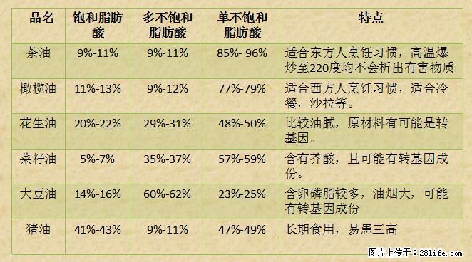 揭秘茶油的5大核心营养成分！被称为人体健康的“守护盾”！ - 绵阳生活资讯 - 绵阳28生活网 mianyang.28life.net