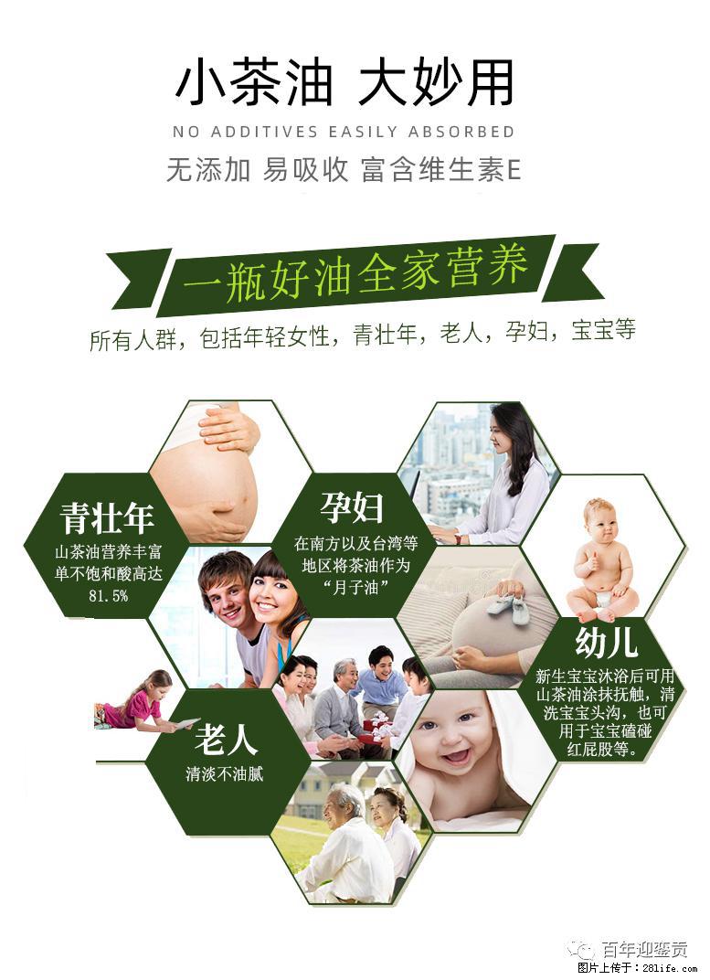 世界没有真相，只有认知，最好的食用油是中国的山茶油！ - 绵阳生活资讯 - 绵阳28生活网 mianyang.28life.net