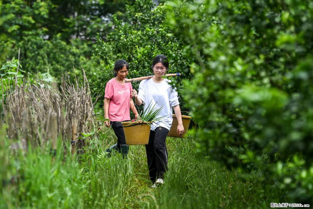 全网追的“扁担女孩”，找了一份暑假工，时薪12元 - 绵阳生活资讯 - 绵阳28生活网 mianyang.28life.net