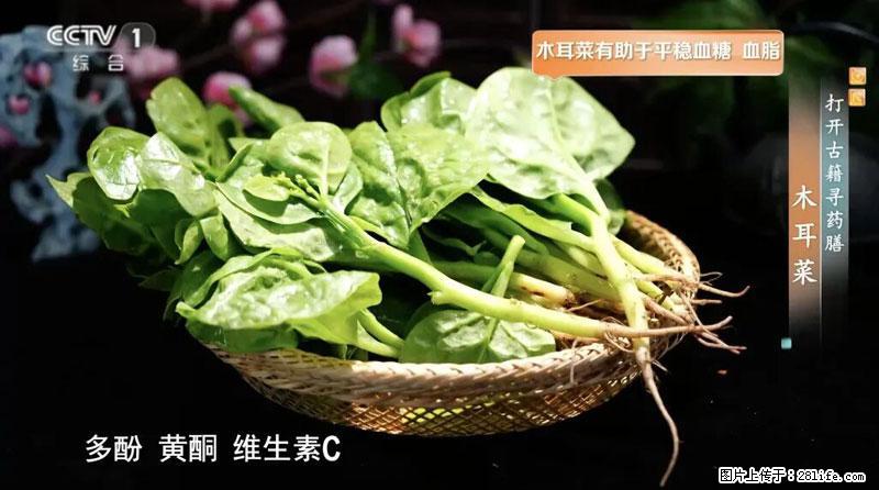 比牛奶补钙还厉害！凉血解毒、稳血糖...这菜冬天必吃，很多人却当草 - 绵阳生活资讯 - 绵阳28生活网 mianyang.28life.net