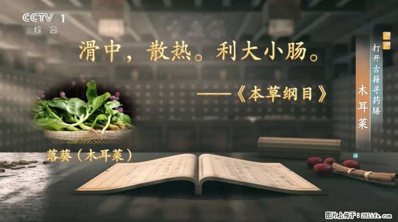 比牛奶补钙还厉害！凉血解毒、稳血糖...这菜冬天必吃，很多人却当草 - 绵阳生活资讯 - 绵阳28生活网 mianyang.28life.net