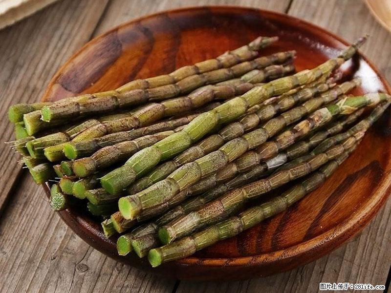 铁皮石斛的作用与功能主治 - 绵阳生活资讯 - 绵阳28生活网 mianyang.28life.net